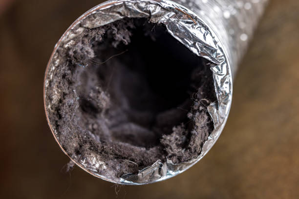 Best Air Duct Cleaning Near Me  in Combee Settlement, FL